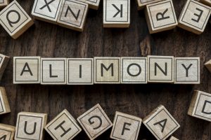 Alimony spelled out using wooden building blocks